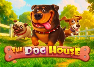 The Dog House mk99s ทางเข้าล่าสุด